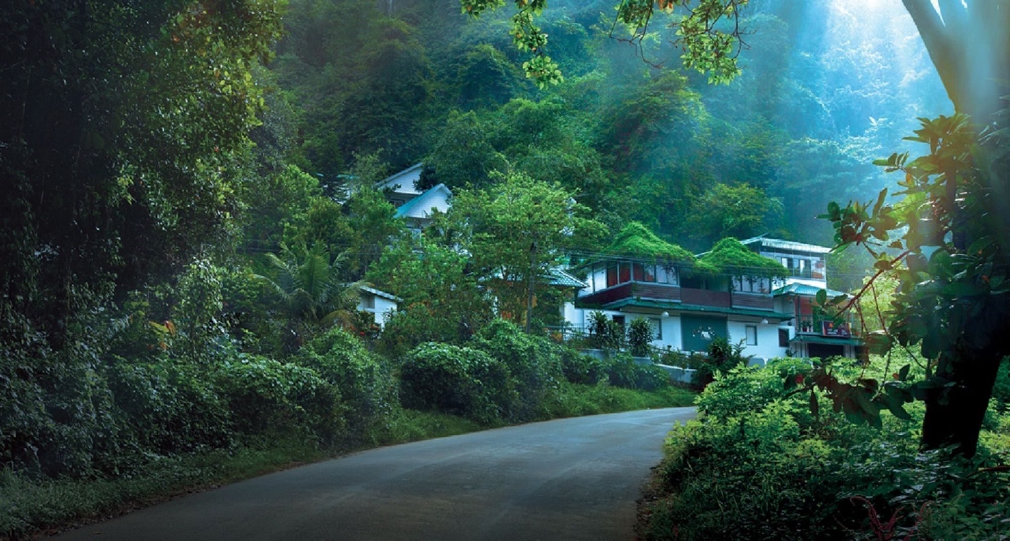 Bellavista Resort Munnar Dış mekan fotoğraf
