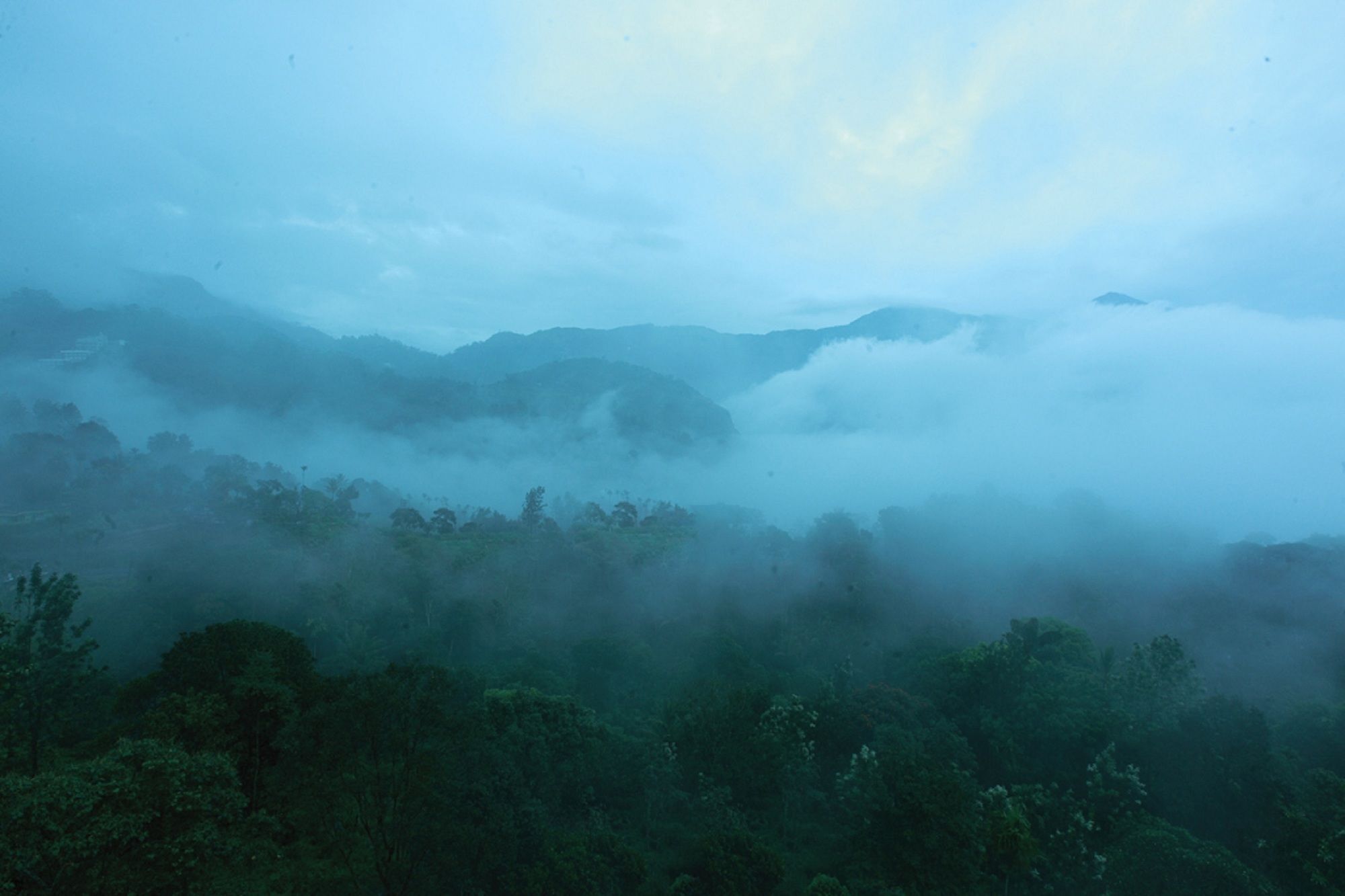 Bellavista Resort Munnar Dış mekan fotoğraf